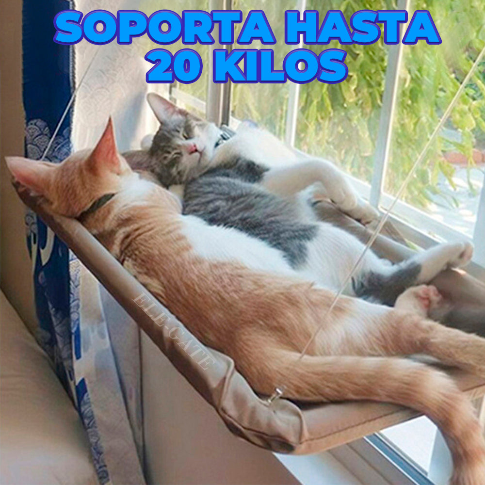Hamaca Flotante para Gatos – Cama de Ventana con Ventosas Reforzadas y Tela Transpirable