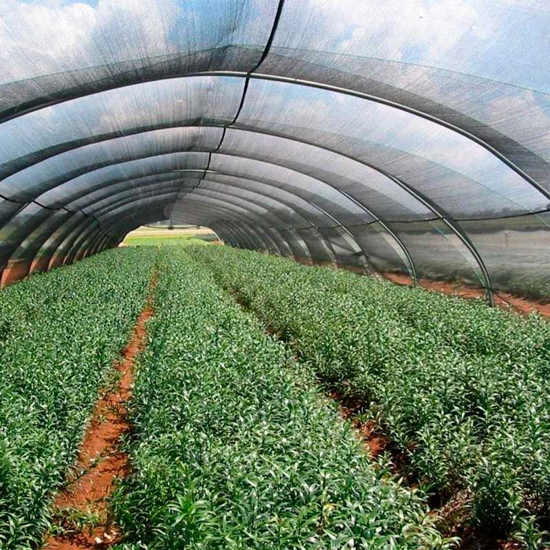 Toldo Sombra 3.60 x 5 m – Malla Sombra 70% de Polietileno Reforzado para Jardín, Terraza o Estacionamiento